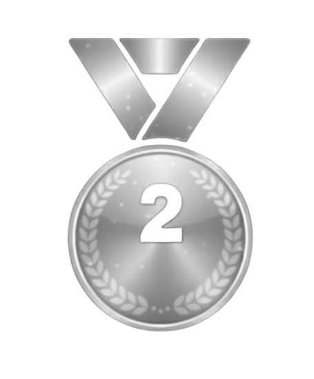Silver Medal